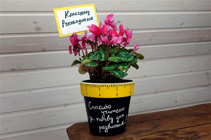 Книги в подарок