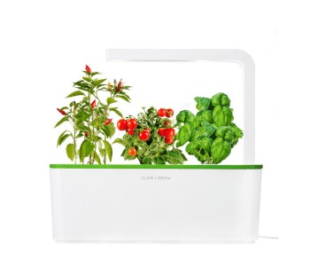 Как Сделать Сюрприз Для Родителей Своими Руками Подарки для здоровья