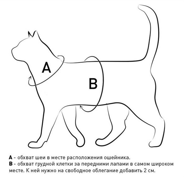 Одежда для кошек своими руками: как сделать выкройку и сшить комбинезон или кофту?